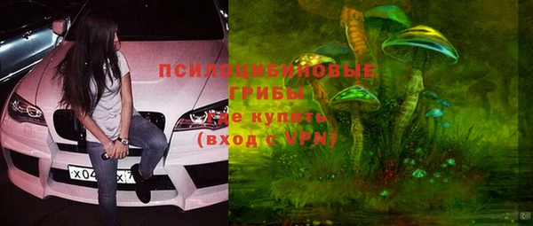 марки nbome Заводоуковск